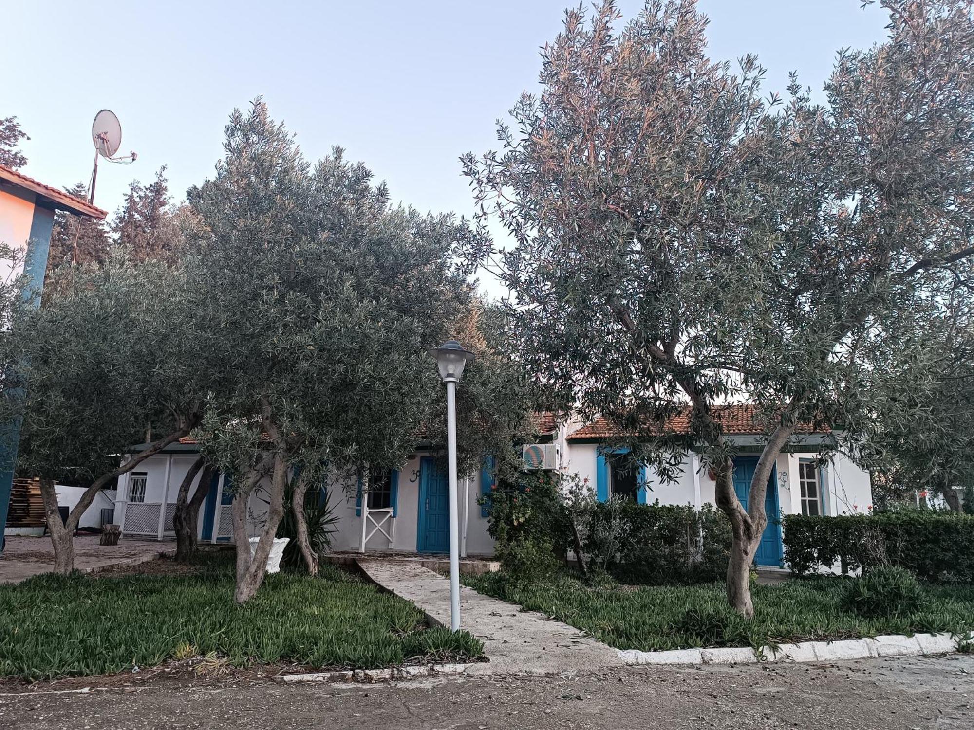 فندق Teos Ormanci Tatil Koyu سفيريهيسار المظهر الخارجي الصورة