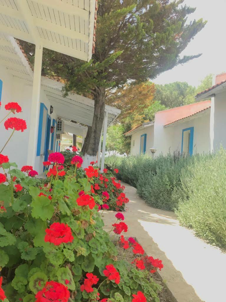 فندق Teos Ormanci Tatil Koyu سفيريهيسار المظهر الخارجي الصورة
